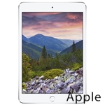 Ремонт Apple iPad mini 2 в Санкт-Петербурге