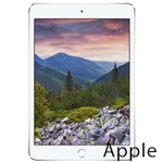 Ремонт Apple iPad mini 3 в Санкт-Петербурге