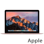 Ремонт Apple MacBook Mid в Санкт-Петербурге