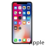 Ремонт iPhone X(10) в Санкт-Петербурге